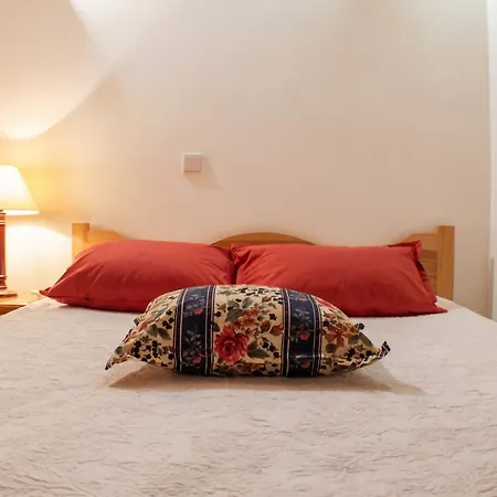 Apartment Cosy In Seia, 25 Sqm, Welcoming Fireplace *